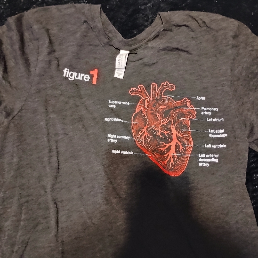 Bella Canvas Charcoal Tee with Red Anatomical Heart